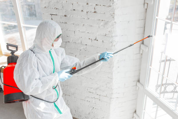 Why You Should Choose Our Mold Remediation Services in Bloomfield, IN