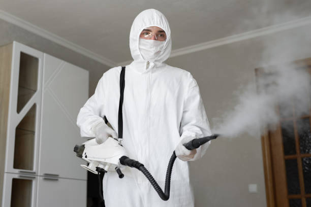 Best Environmental Consulting for Mold Prevention  in Bloomfield, IN