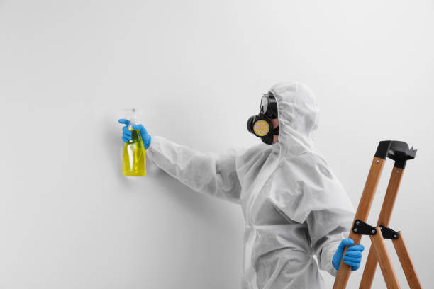 Best Mold Remediation for Healthcare Facilities  in Bloomfield, IN